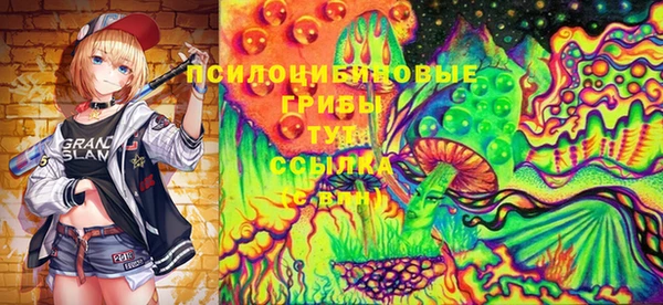 mdpv Бежецк