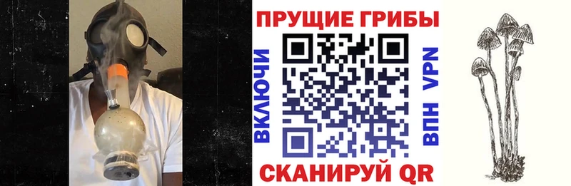 как найти   Опочка  Галлюциногенные грибы мухоморы 